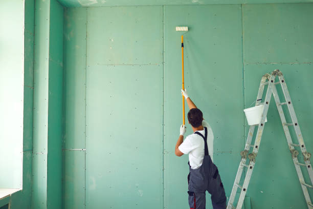 Best Mold Odor Removal Services  in Cortland, NY