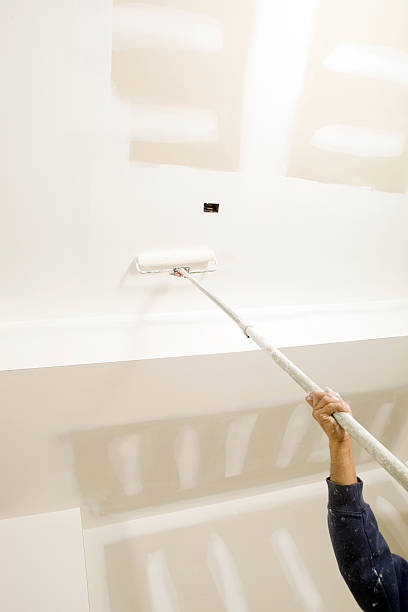 Best Basement Mold Removal  in Cortland, NY